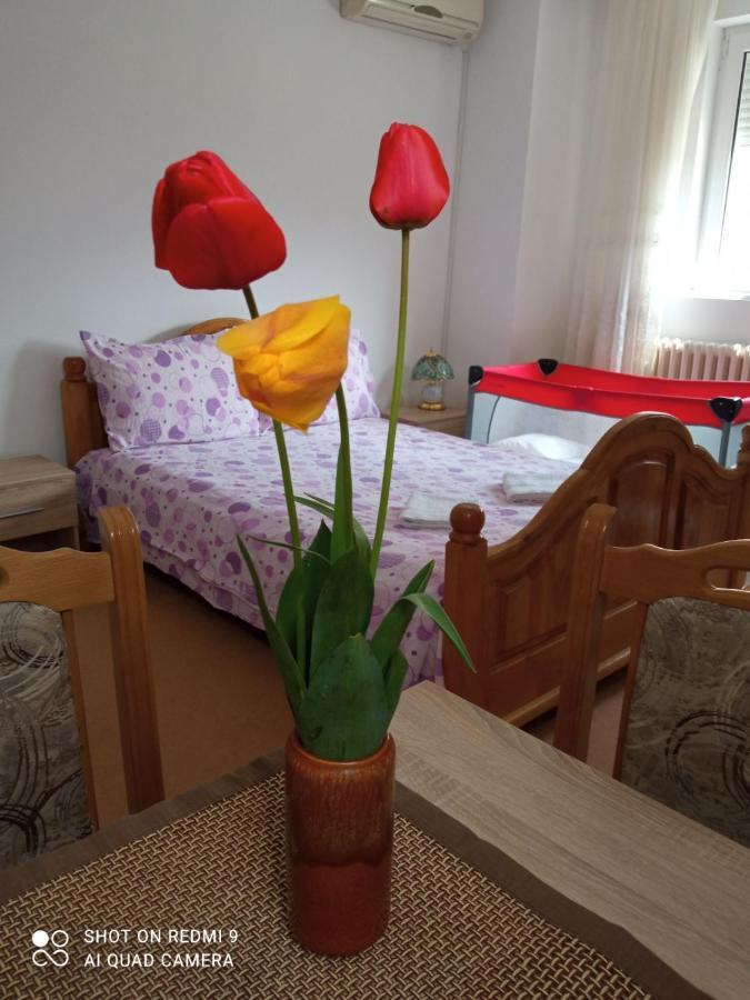 Apartman Andelina Vrnjačka Banja Extérieur photo