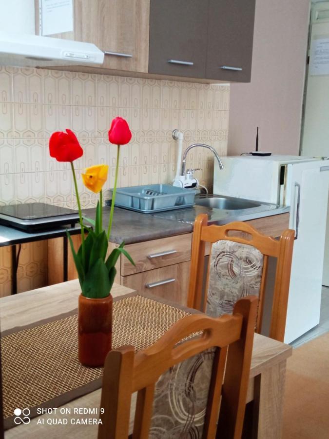 Apartman Andelina Vrnjačka Banja Extérieur photo