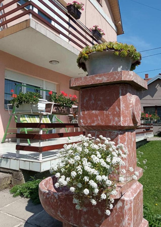 Apartman Andelina Vrnjačka Banja Extérieur photo