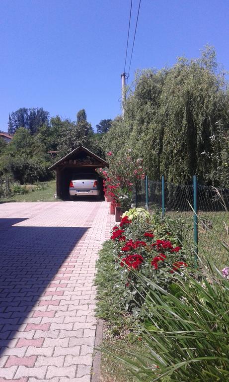 Apartman Andelina Vrnjačka Banja Extérieur photo