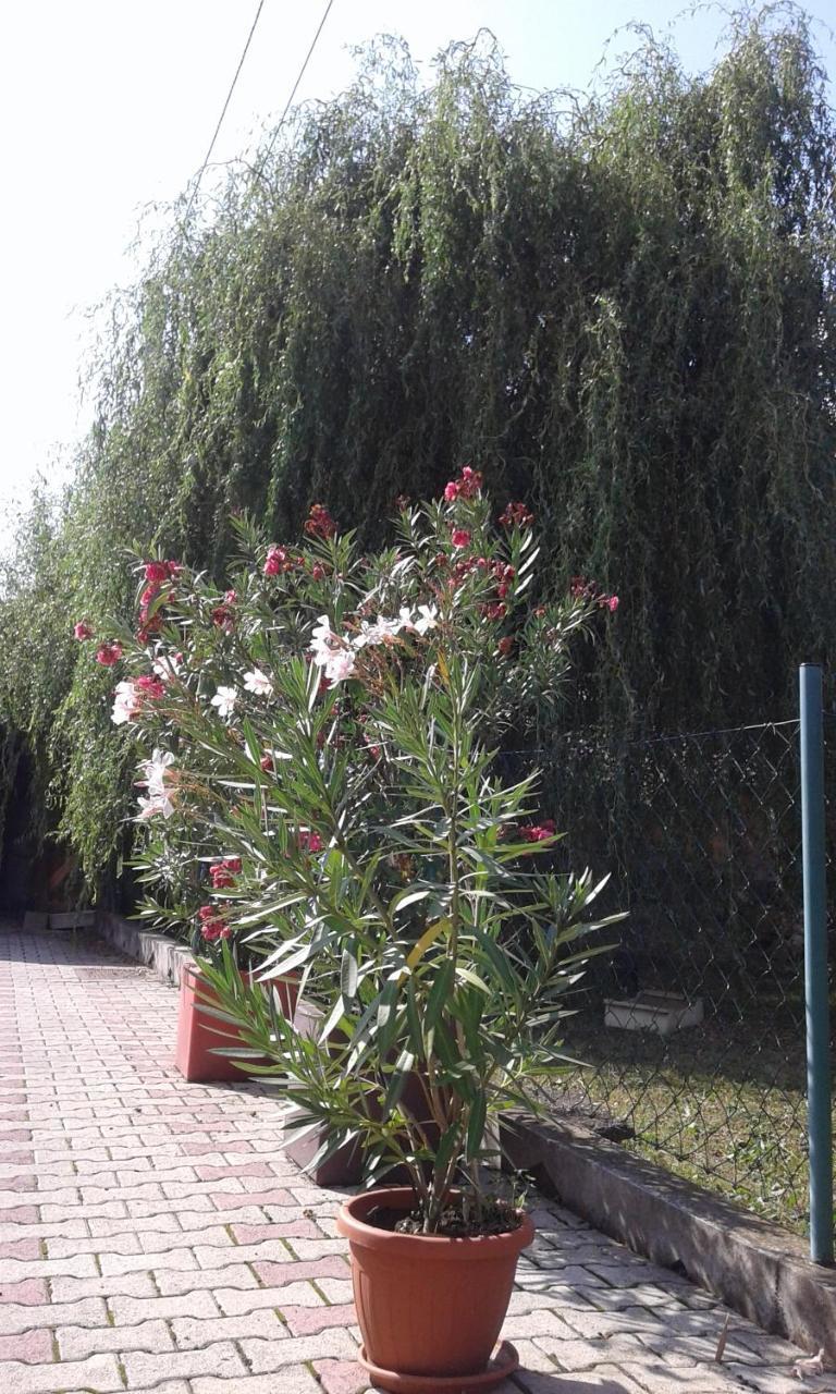Apartman Andelina Vrnjačka Banja Extérieur photo